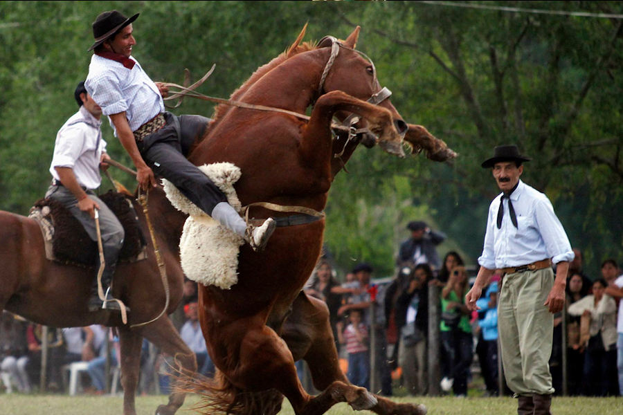 Gaucho Experience