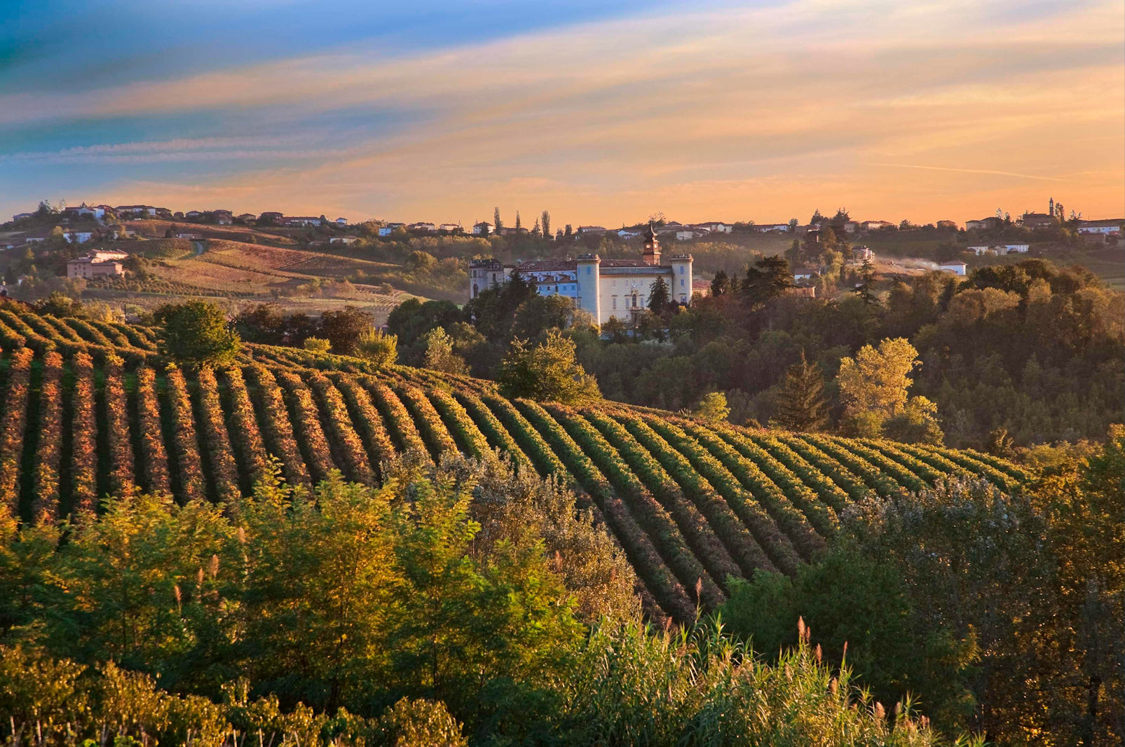 Chianti Wine Tour